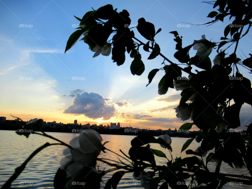 sunset and cloud in the sky