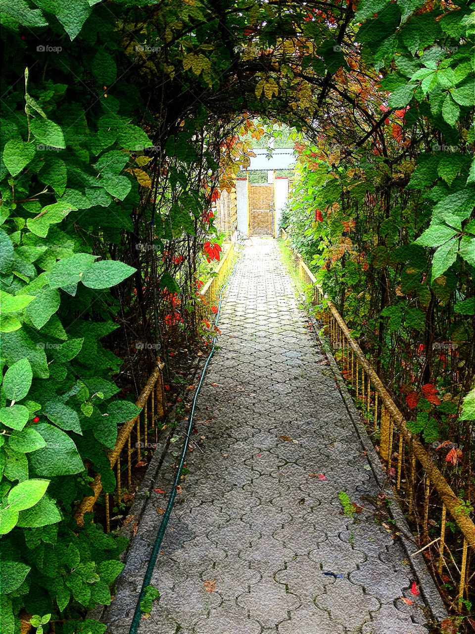 russia green plants nature by penguincody