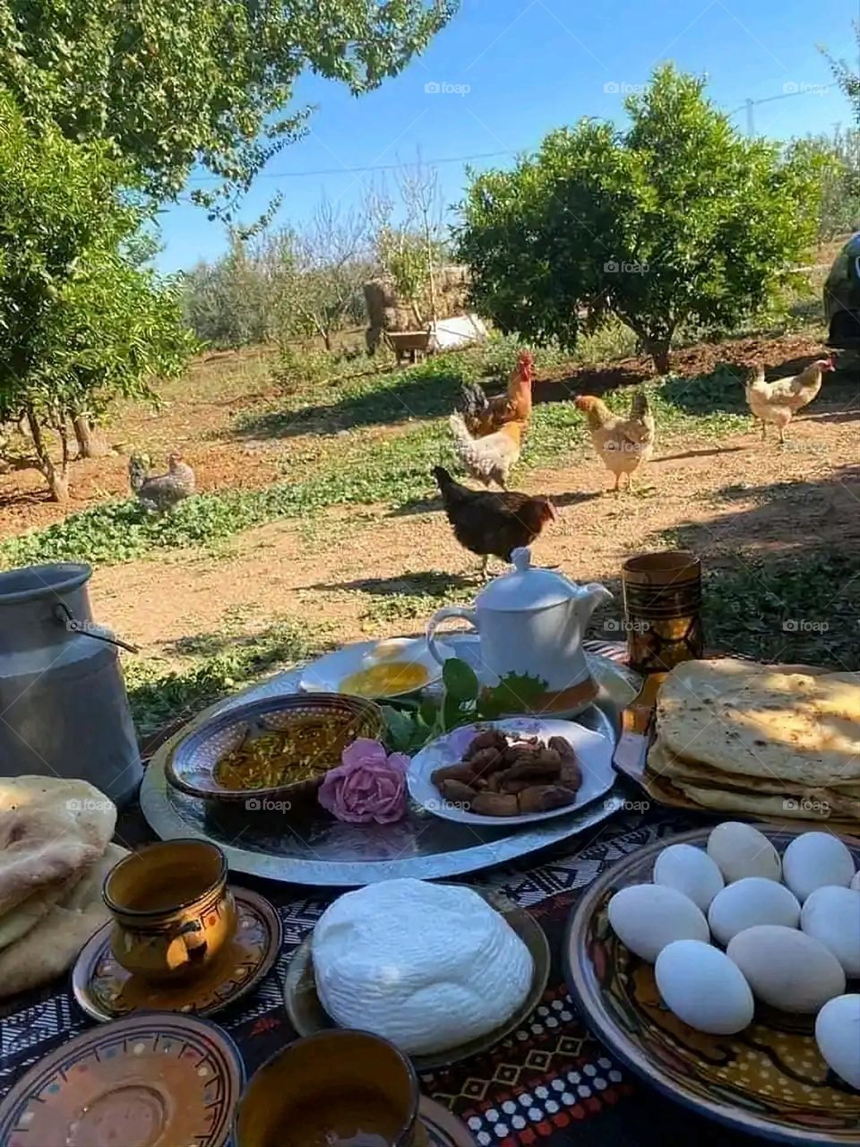 Glory be to God, the magnificent and picturesque view and the natural green trees are a view that is nothing more wonderful than it