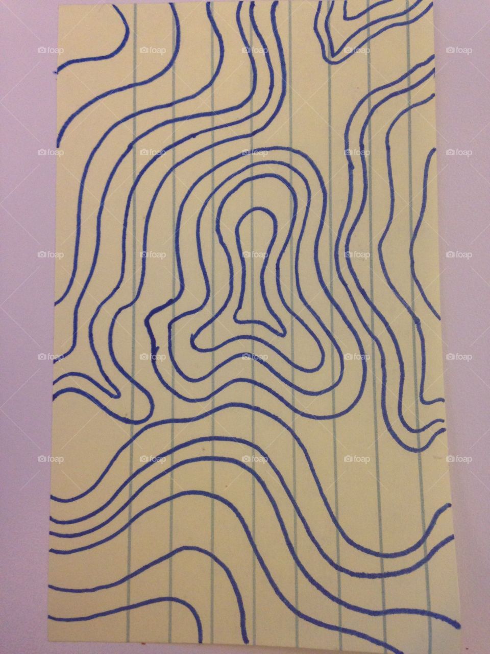 Topography sketch Number 5. 