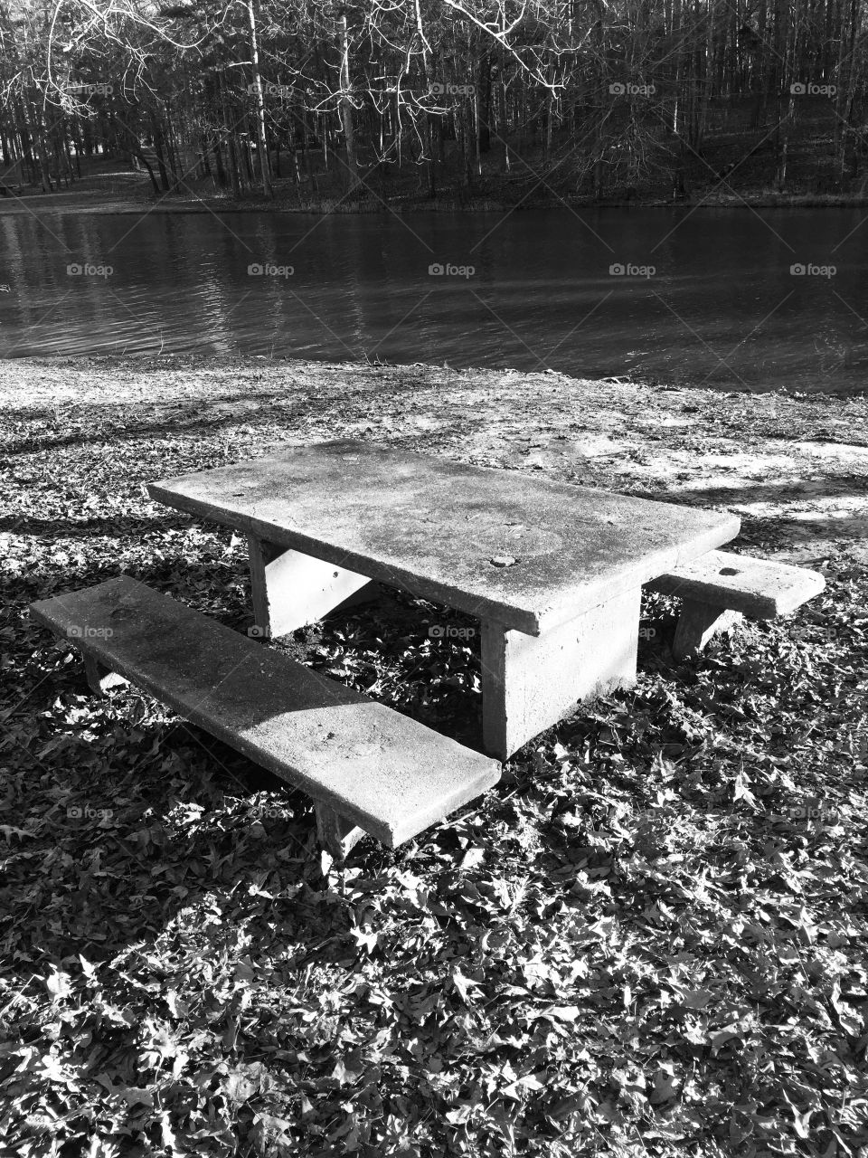 Picnic table at the park. 