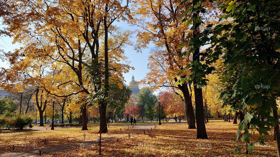 Autumn landscape 🍁🍂 Park time 🍁🍂 Fall mood🍁🍂