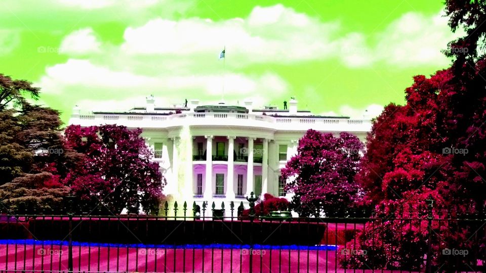 psychedelic white house