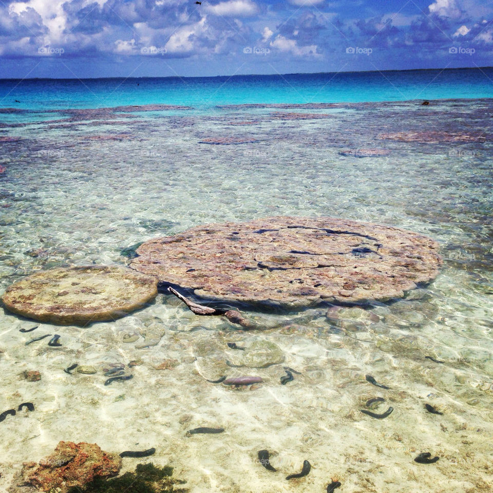 beach ocean vacation island by theemuki