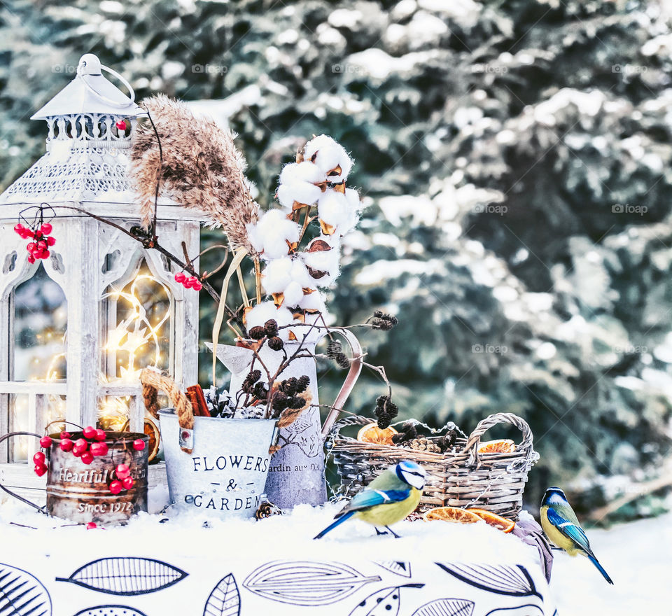 Garden still life with a birds in winter