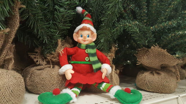 Holiday Elf