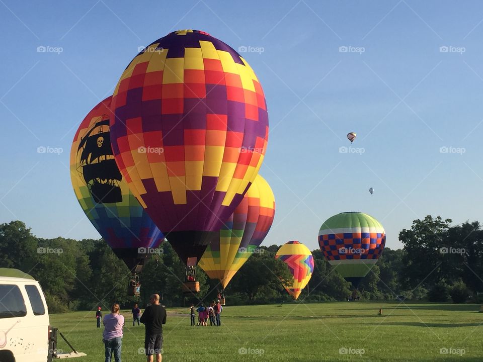 Hot air balloons taking off in a line through a gap in the trees