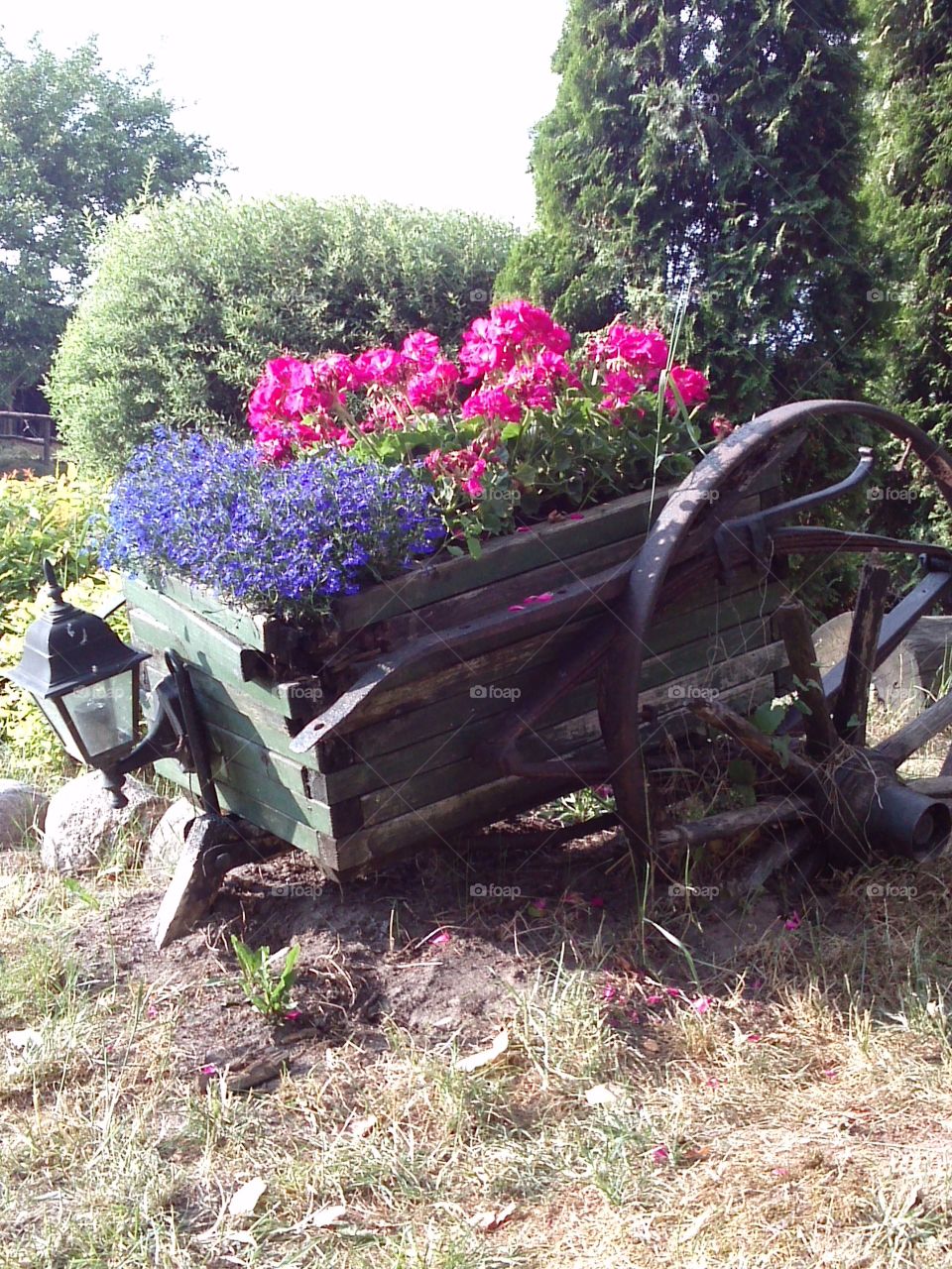 Flowerpot. gardening at its best