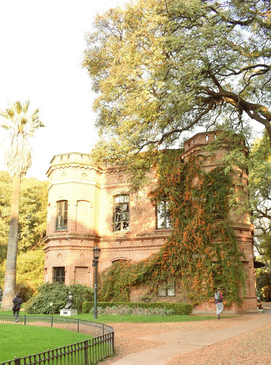 Jardín Botánico .  Buenos Aires , Argentina . Foto tomada con Nikon D3500