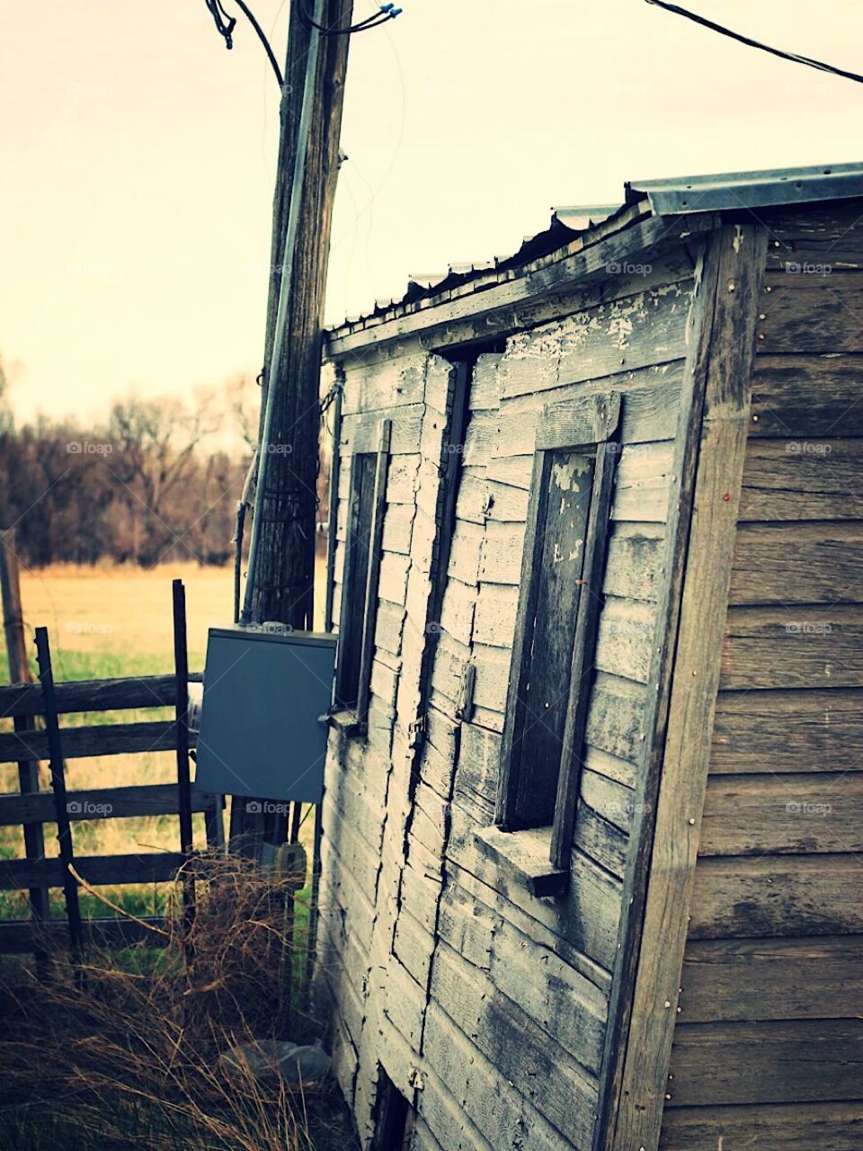 Shed
