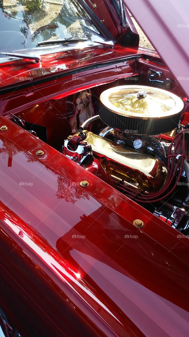 Red and Gold Mustang