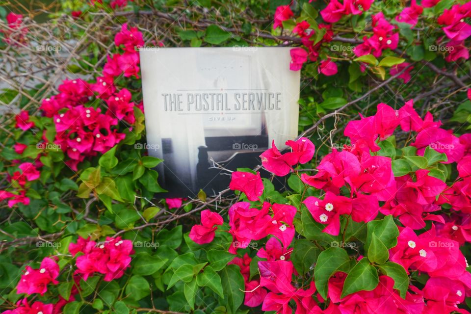 give up postal service