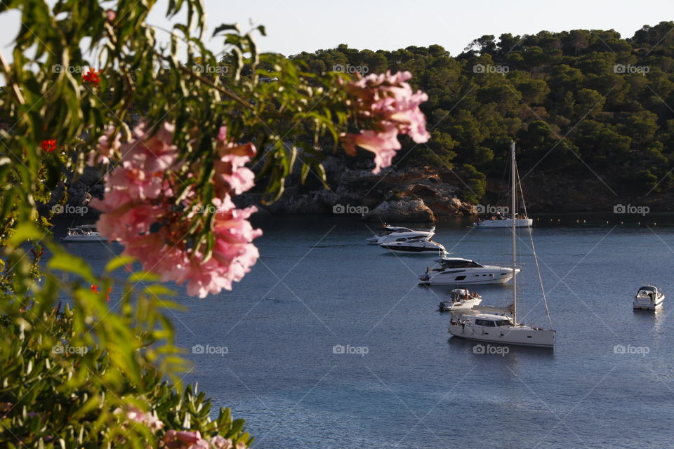 Flowers and boats