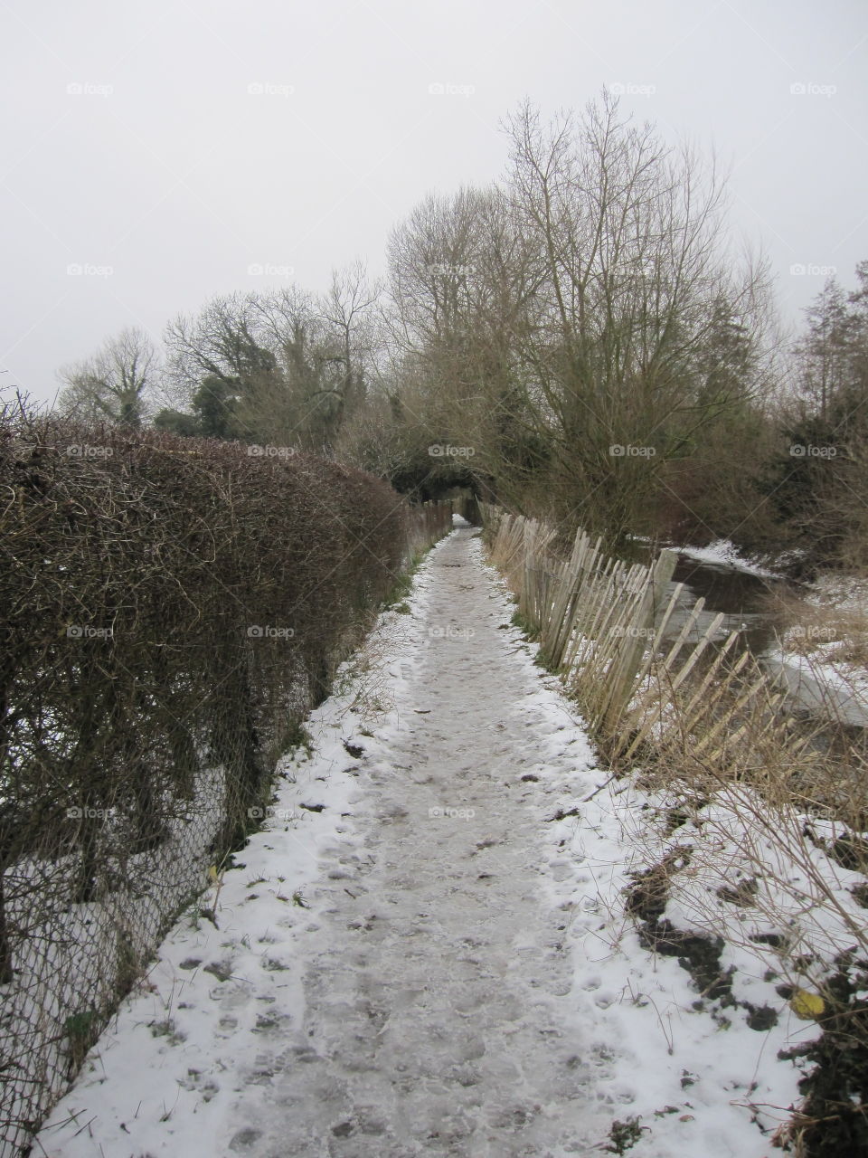 A Countryside Path In Winter