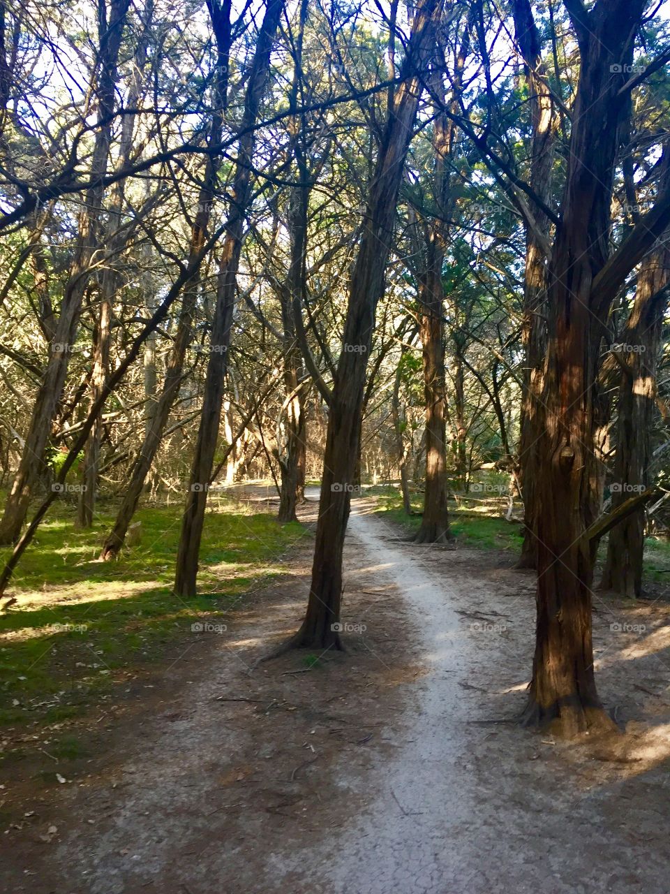 Hiking trail in Austin, Tx