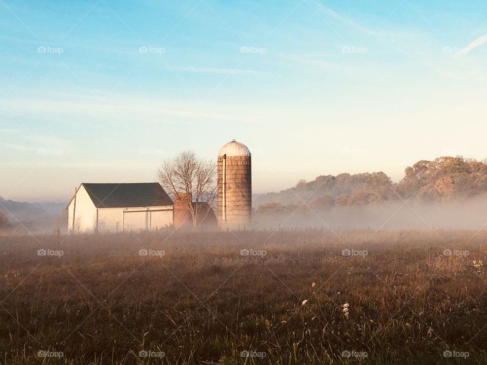 Foggy morning at the barn