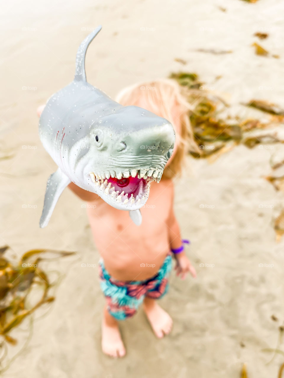 Playing with toy sharks on the beach. Sun shining and not a care in the world.