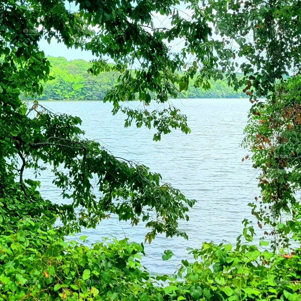 Hidden View of Nature