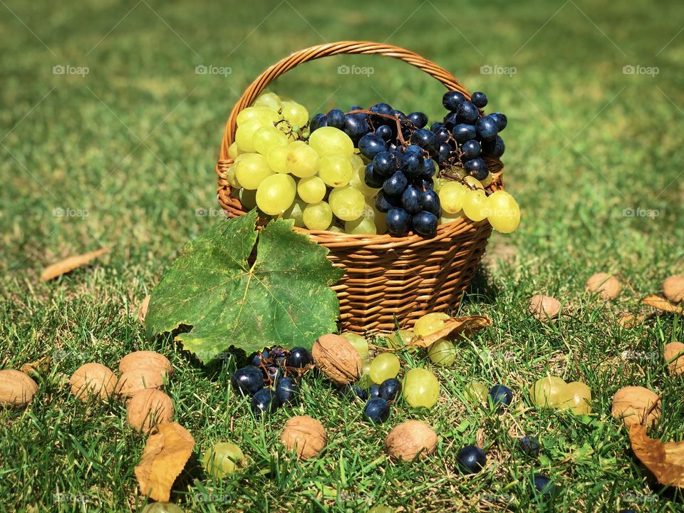 Grapes