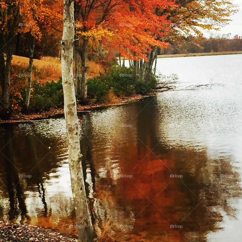 Autumn reflections 