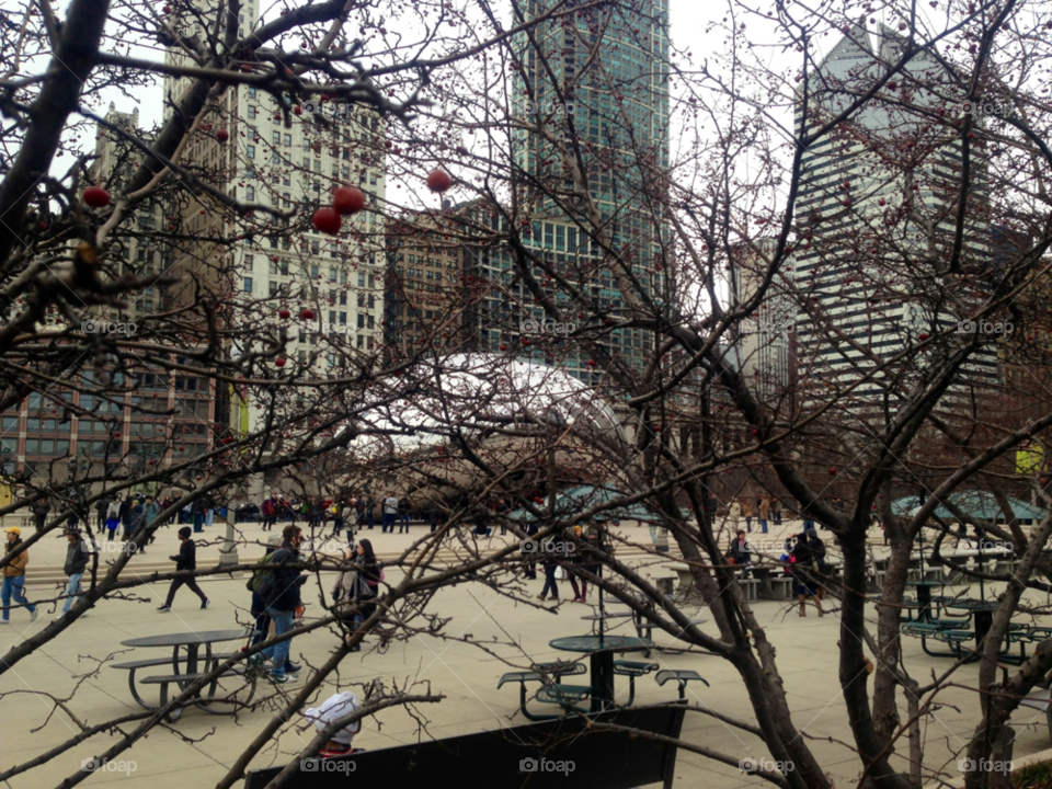 winter trees buildings tourists by mengzishiliu
