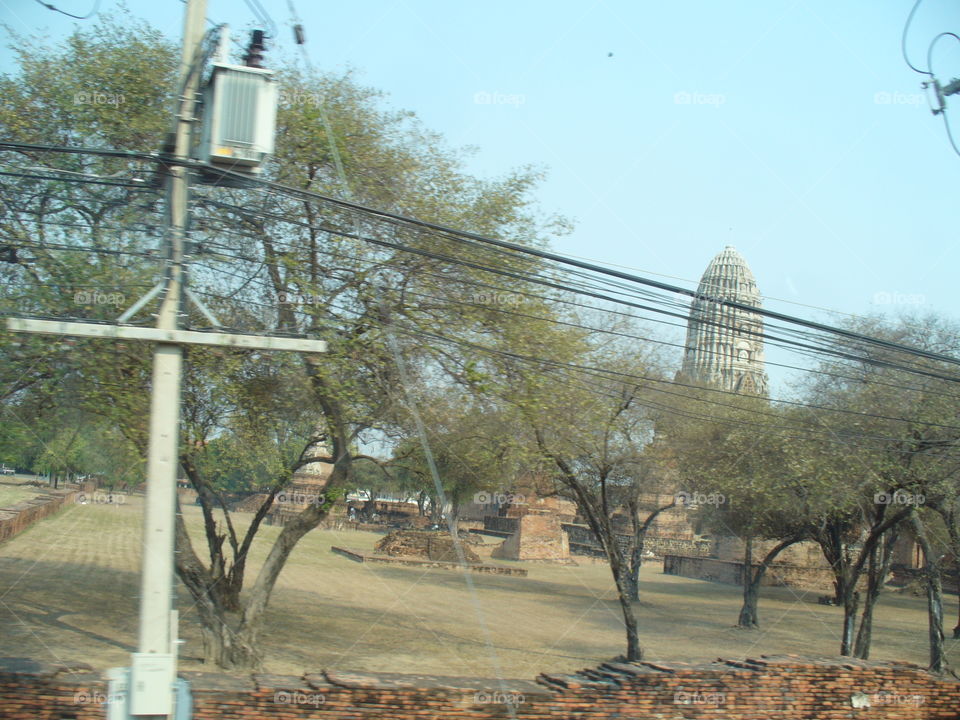 No Person, Wire, Tree, Sky, Travel