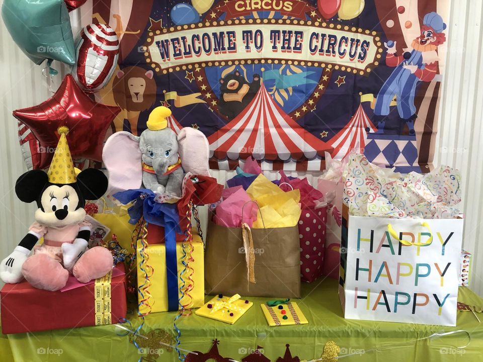 Circus Birthday Party