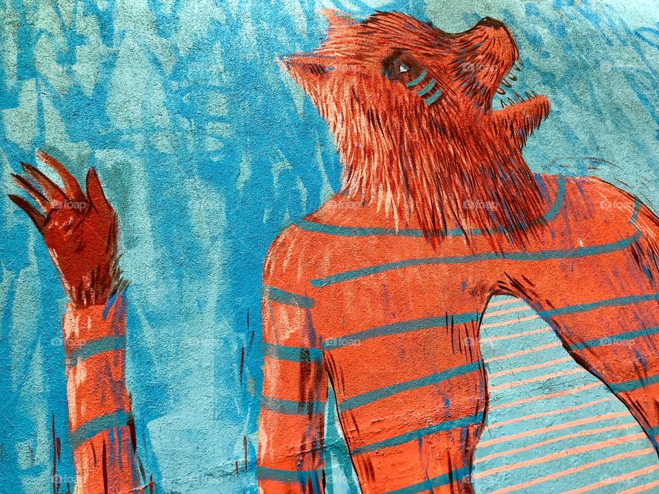 i think he’s a fox?