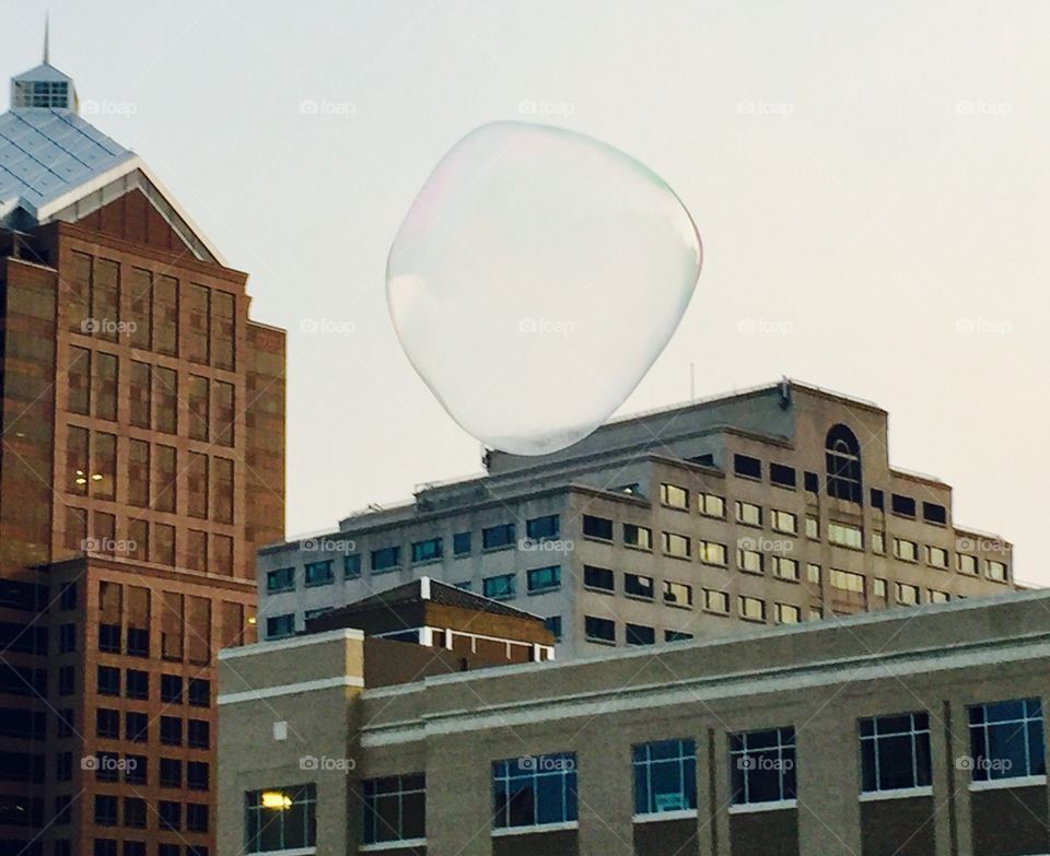 Bubbles over the city
Rochester Fringe Festival 