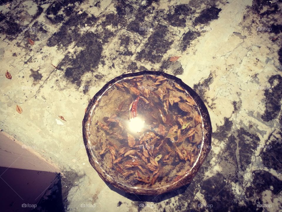 reflection of sun in the jar filled with water and leaves