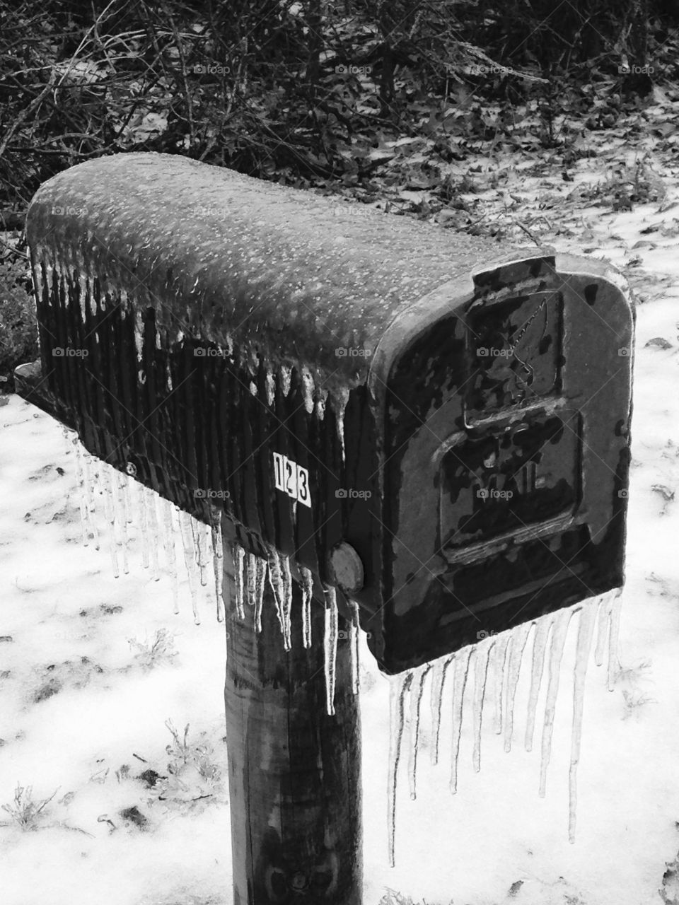Black and white
Icicles 