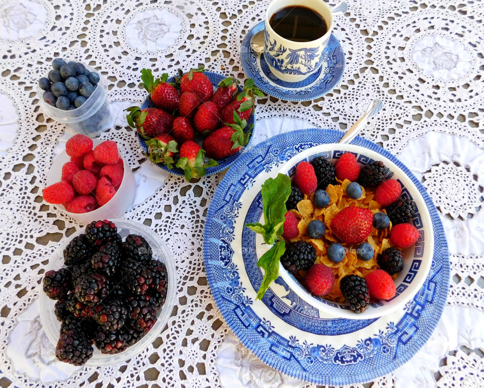 The Red Story! Red is color of passion. It's the color that is always seen on heart decorations on Valentine's Day! Red is astonishing, exhilarating, and fills your world through feelings and emotions!