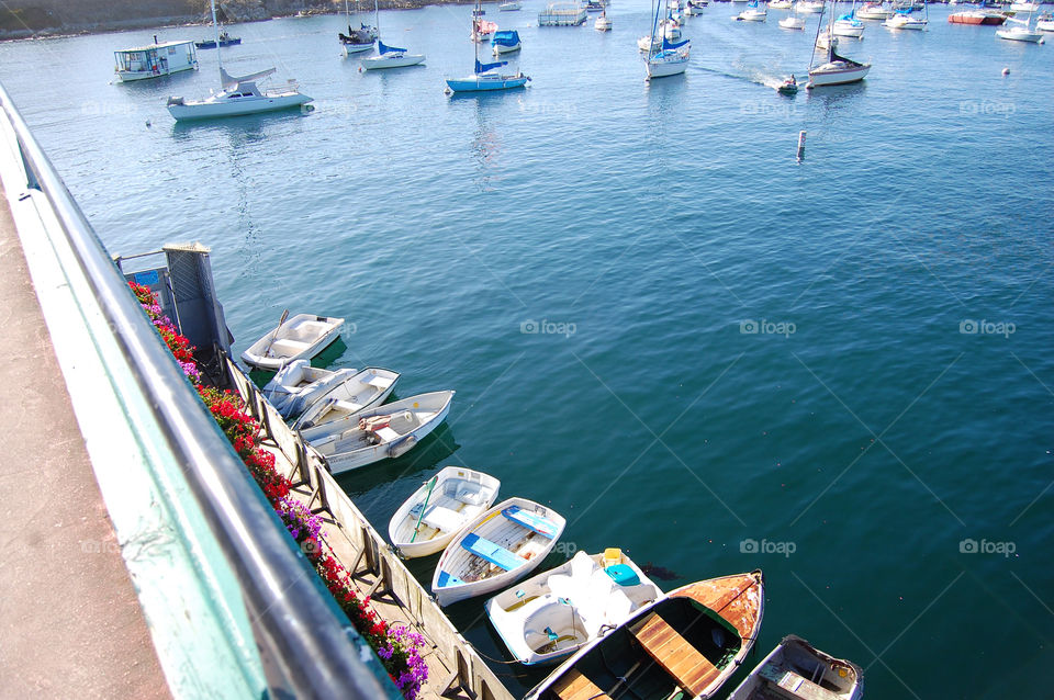 flowers boats pacific ocean monterey bay by jaym711