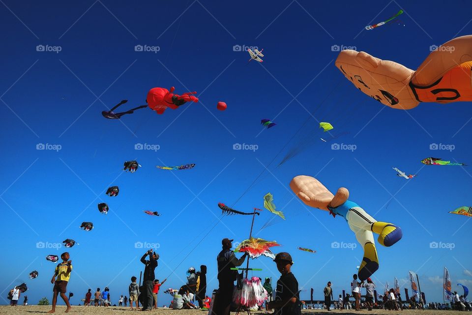 kite fest