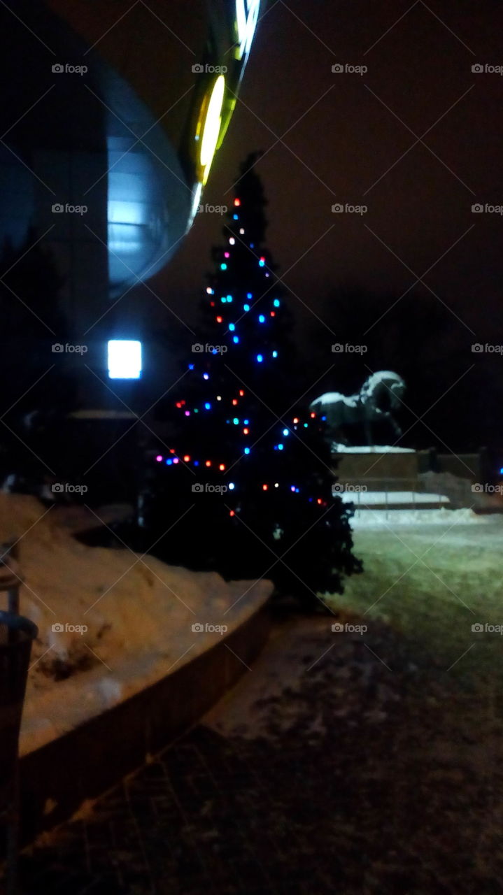 Christmas tree at night
