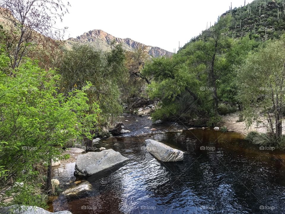 Nature Mountain Landscape - Sabino Canyon in Tucson, Arizona 