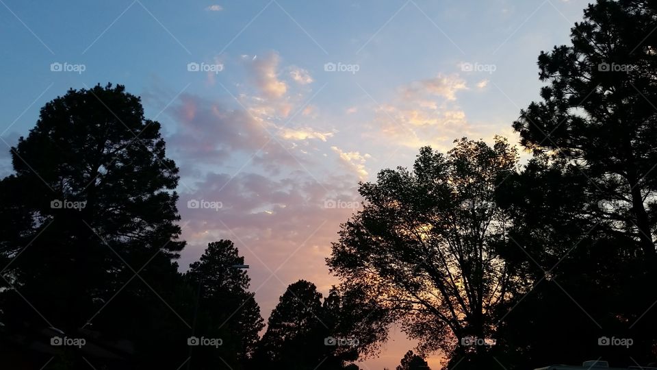 A gorgeous Arizona sunset with various trees and clouds