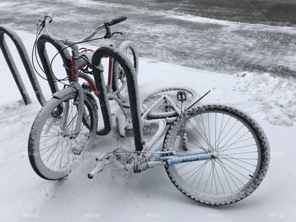 The poor bikes never saw it coming. They got stuck in that storm and then they froze. Rest in piece. May your journey to heaven be well paved.