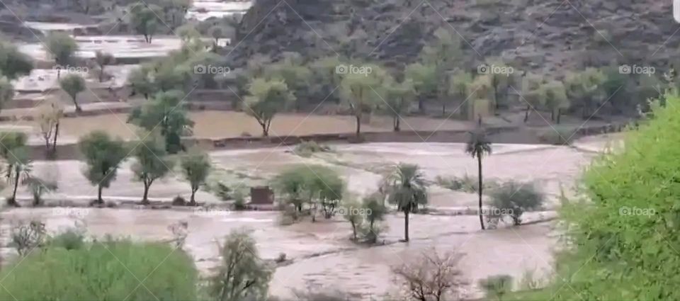 Glory be to God, the magnificent and picturesque view and the natural green trees are a view that is nothing more wonderful than it