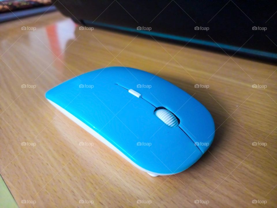 Mouse