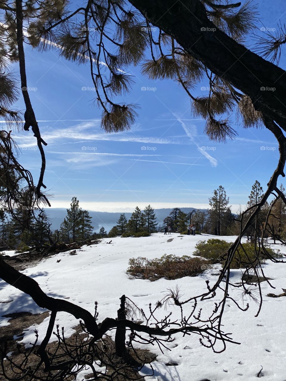 Shaver Lake Vista