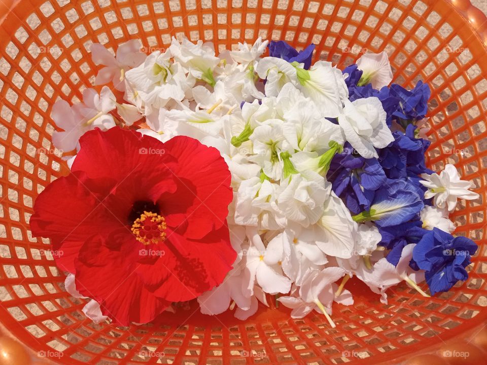 beautiful flowers🌸🌺🌻🌹🌷🌼💐 plucked from garden