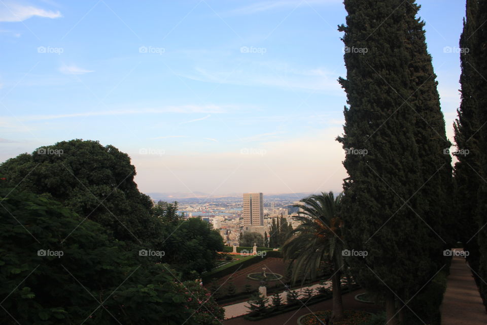 view from above Haifa city