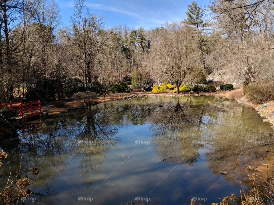 Water, Reflection, Tree, Landscape, Lake