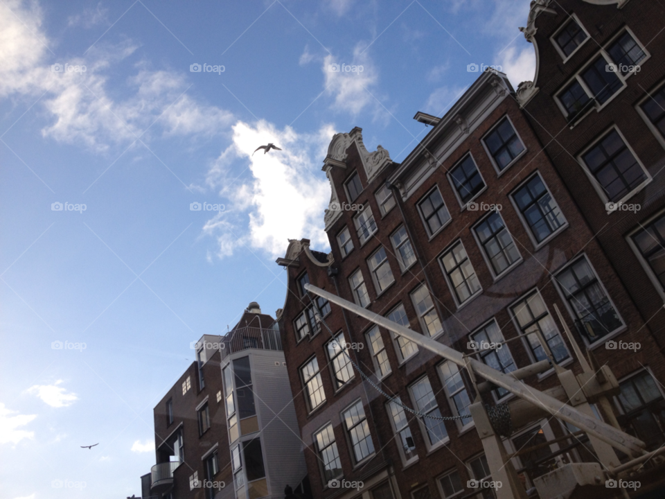 birds houses amsterdam canalboat by Nietje70
