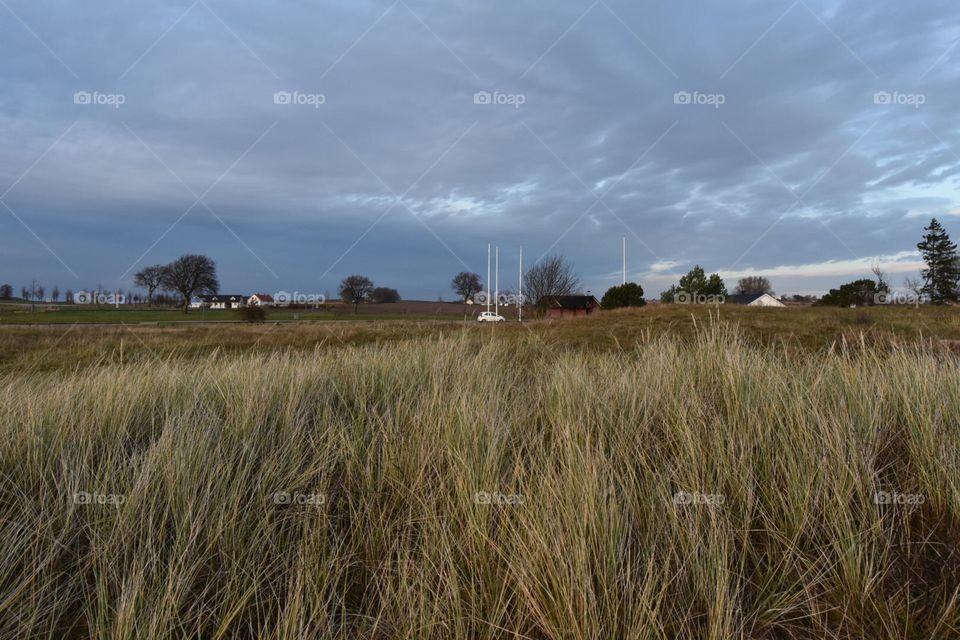 Landscape, No Person, Wheat, Agriculture, Field