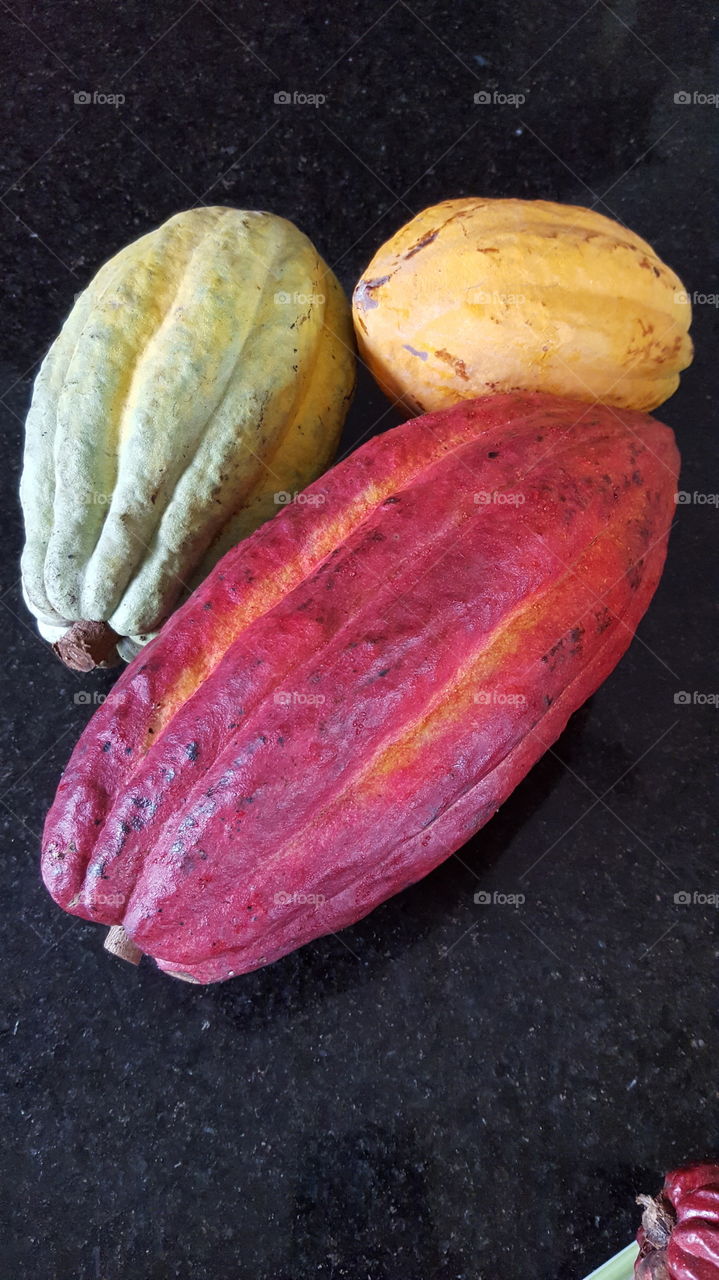 Variety of Cocoa Beans