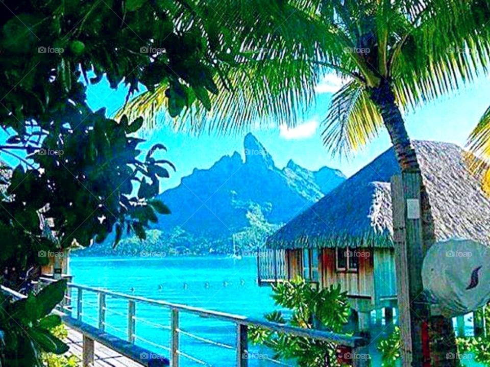 Peaceful tranquility