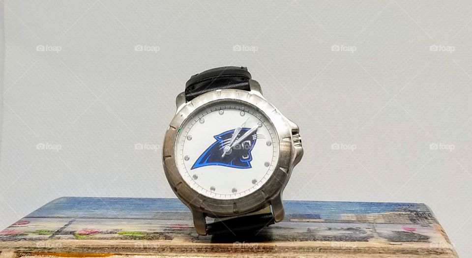 Panthers watch on wooden stand black band