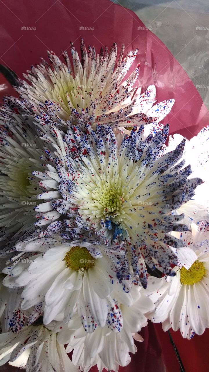 Patriotic Flowers. Red, white, and blue